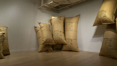Bags in the Room (coming home) - a Sculpture & Installation Artowrk by Lite Zhang